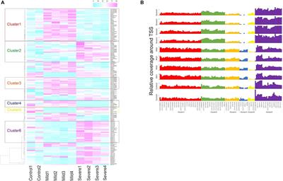 Transcriptional Start Site Coverage Analysis in Plasma Cell-Free DNA Reveals Disease Severity and Tissue Specificity of COVID-19 Patients